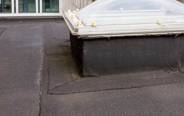 disadvantages of Hague Bar flat roofs